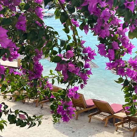 Manta Hotel-2