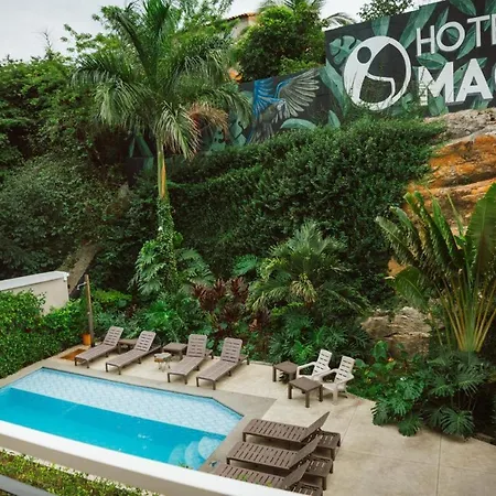 Hotel Macaw Cúcuta-3