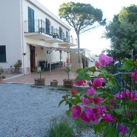 Alba Tra I Pini B&B-2