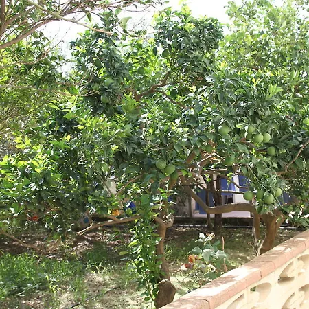 B&B Giarrizzo-3
