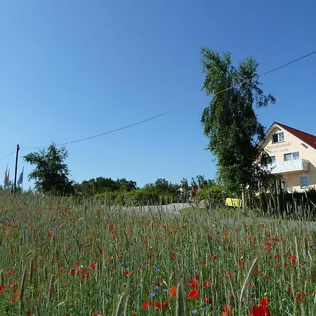 Müritzhöh-2