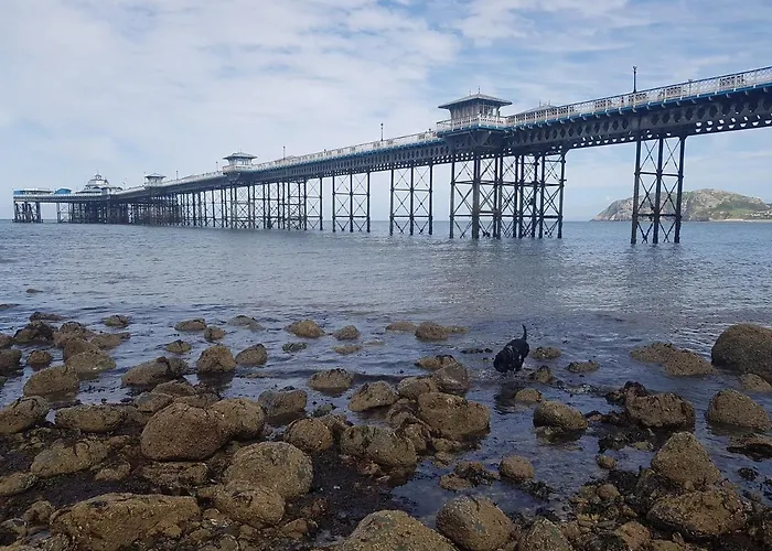 Hafan-Y-Mor Guesthouse Llandudno