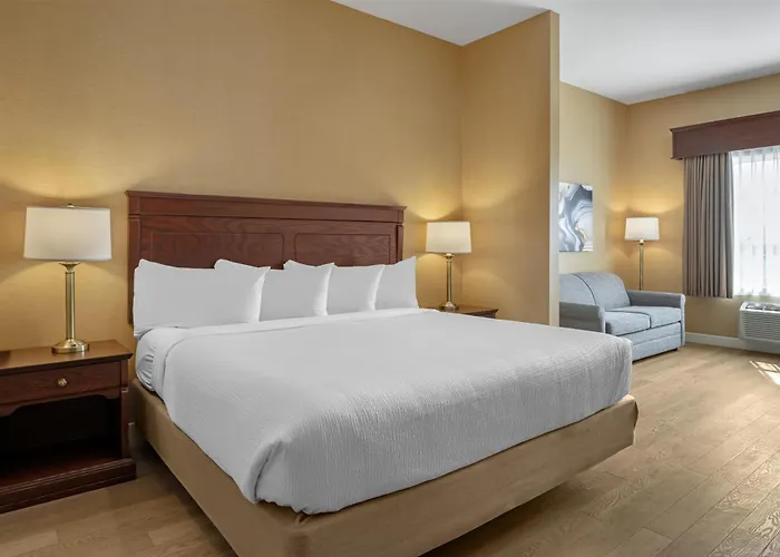Best Western Plus Fredericton Hotel & Suites