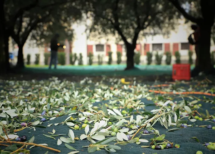 Guest House Villa Angaran San Giuseppe Bassano del Grappa