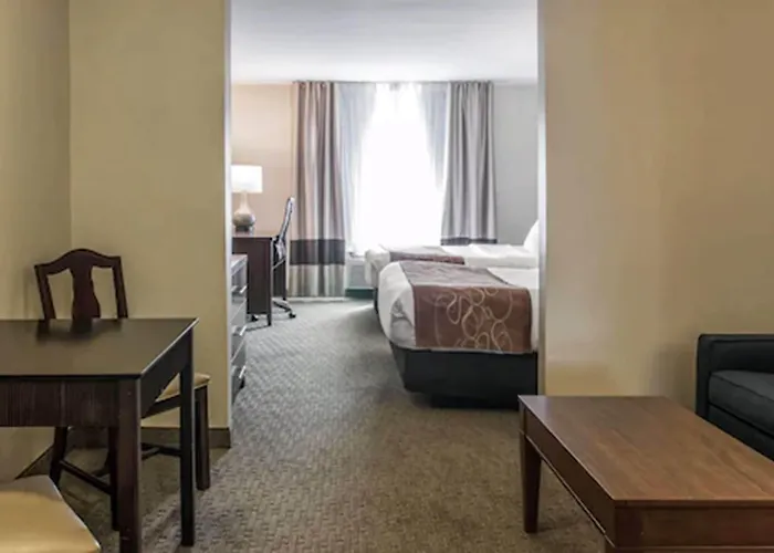 Comfort Suites Wixom - Novi